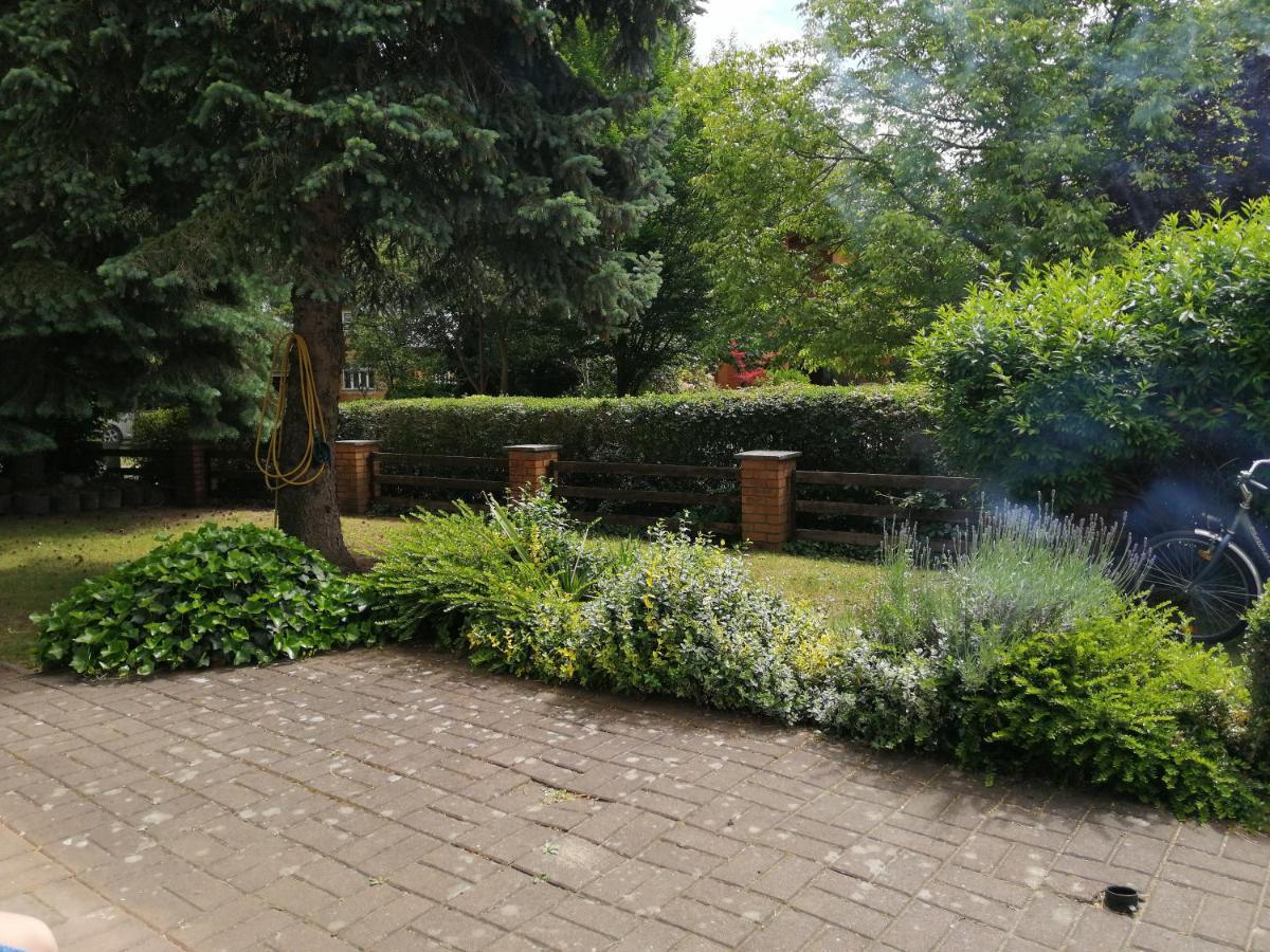 Ferienhaus Pauline Am See Müllrose 外观 照片
